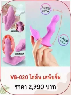 vibrator-VB-020