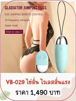 vibrator-VB-029