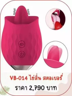 vibrator-VB-014