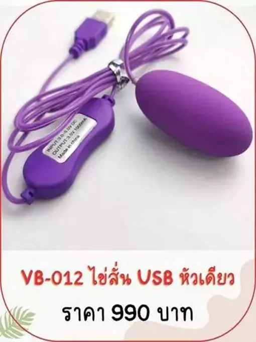 vibrator-VB-0012