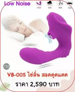 vibrator-VB-005