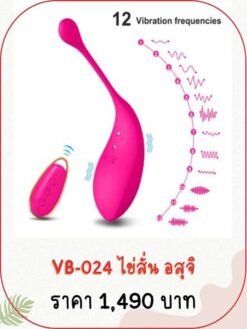 vibrator-VB-024